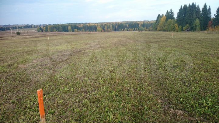 Участок 10 сот. (СНТ, ДНП)