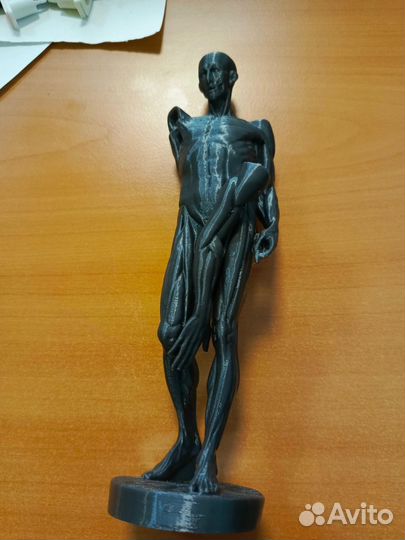 Экорше Гудона