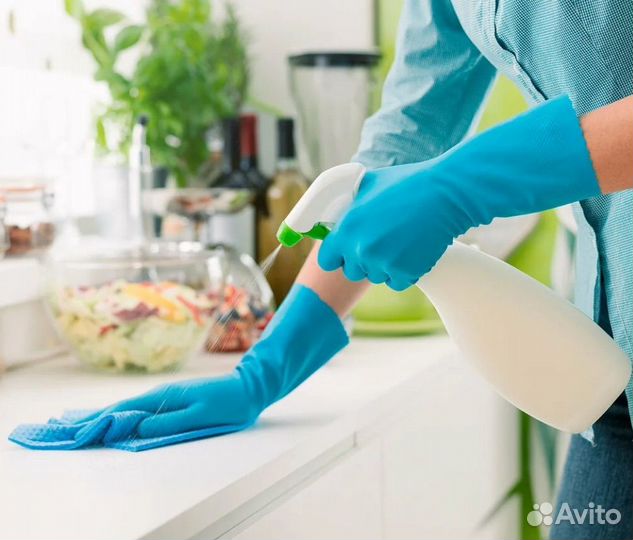 Помощница по хозяйству