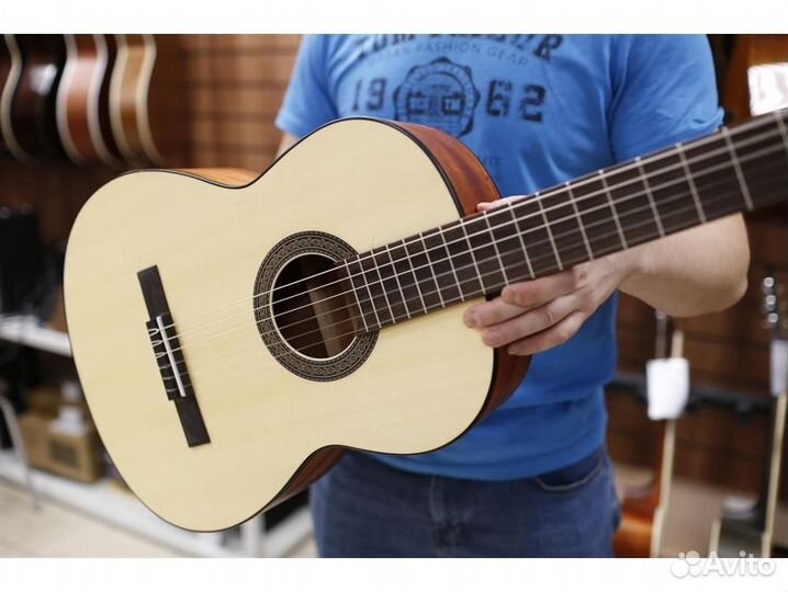 Parkwood PC90-wbag-OP Классическая гитара 4/4 с че