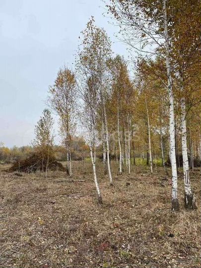 Участок 14,4 сот. (ИЖС)