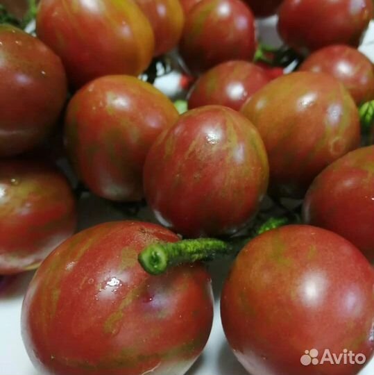 Семена помидор