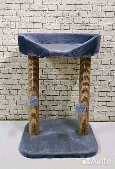 Когтеточка Марсела