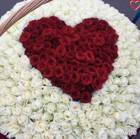 501 роза в корзине с доставкой