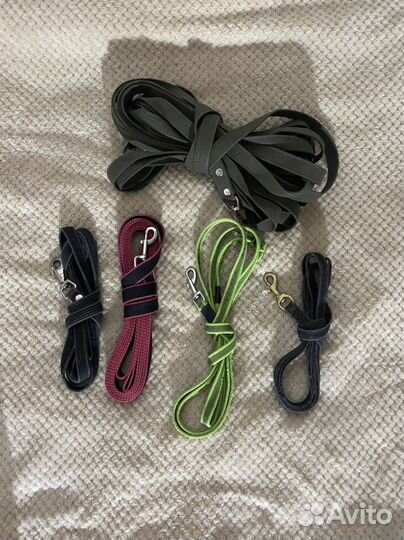 Амуниция для собак