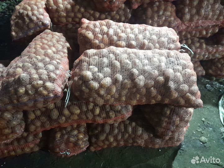 Картофель, морковь