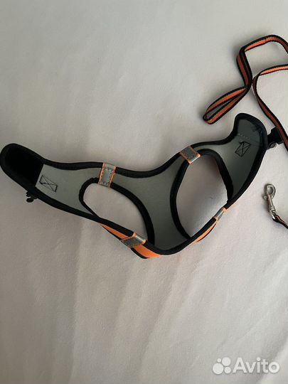 Продам шлейку и поводок для мелких пород