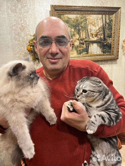 Мастер на час/все виды работ