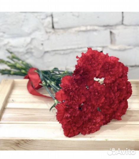 Цветы гвоздика оптом