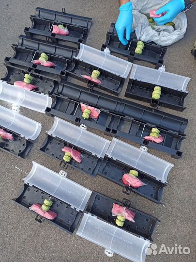 Уничтожение крыс, мышей. Дератизация