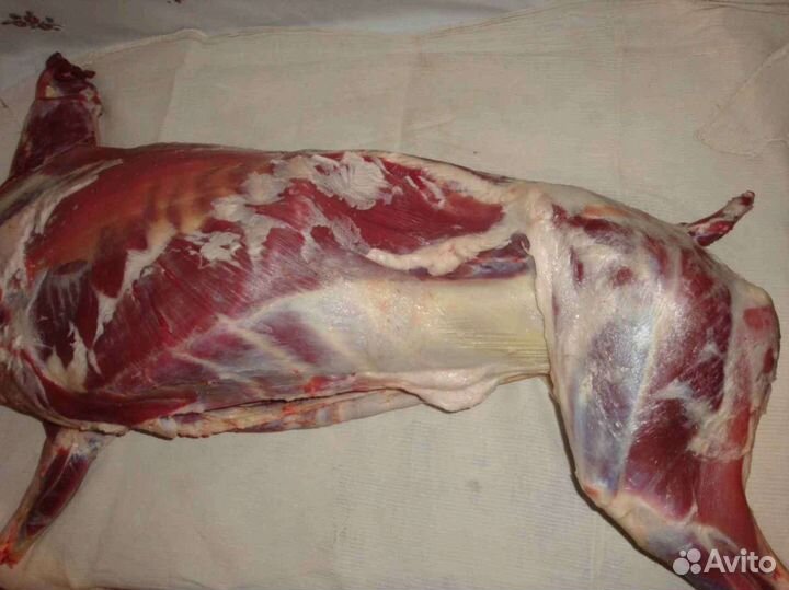 Мясо баранина халяль