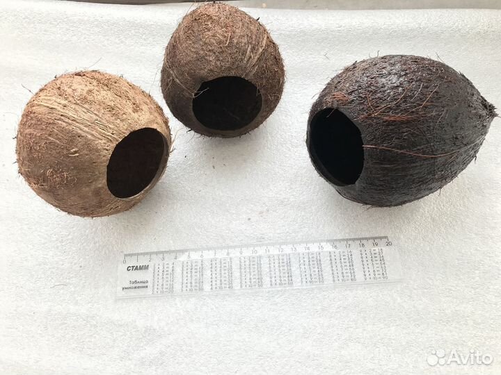 Кокос вываренный