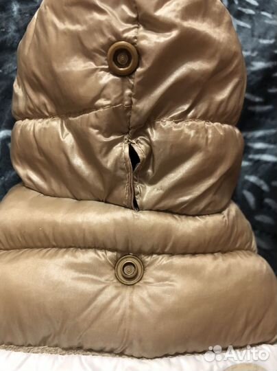 Куртка для собак