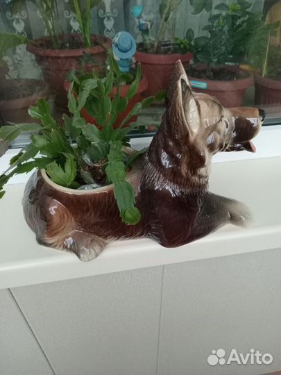 Кашпо для цветов