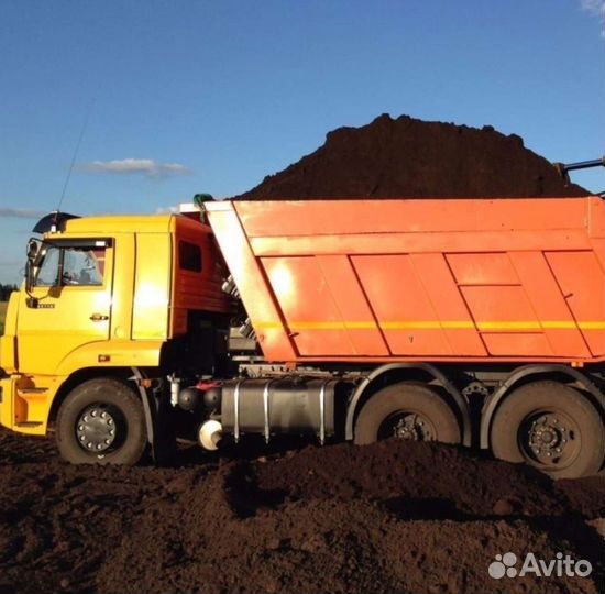 Чернозем Лесной