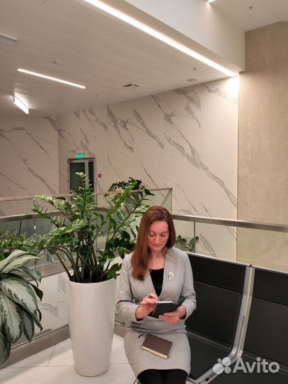 Юрист. Договор. Претензия. Иск. Жалоба