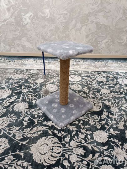 Когтеточка