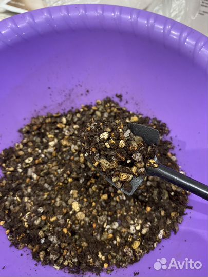 Грунт для суккулентов