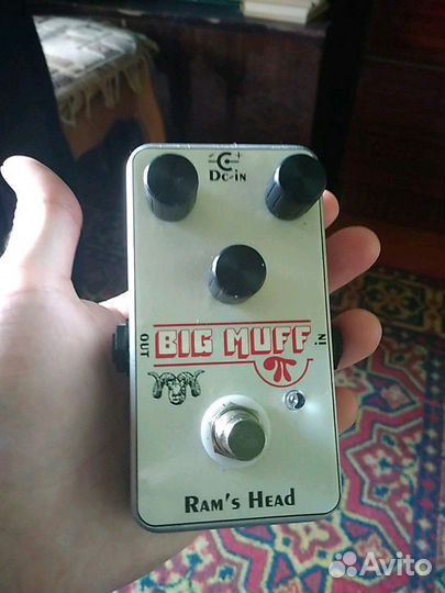 Big muff ram's head