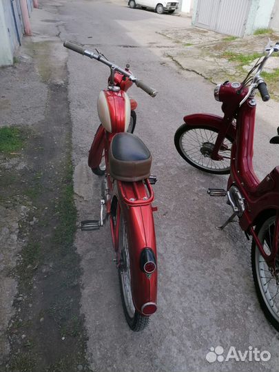 Яветта 551 спорт