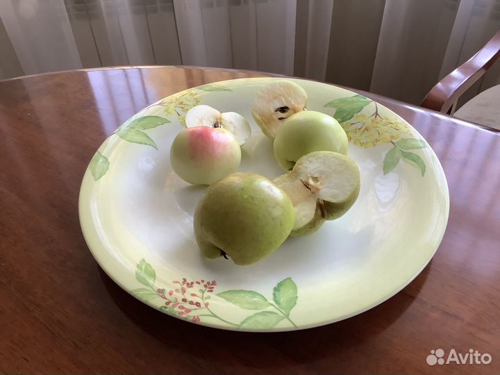 Яблоки в Пушкине