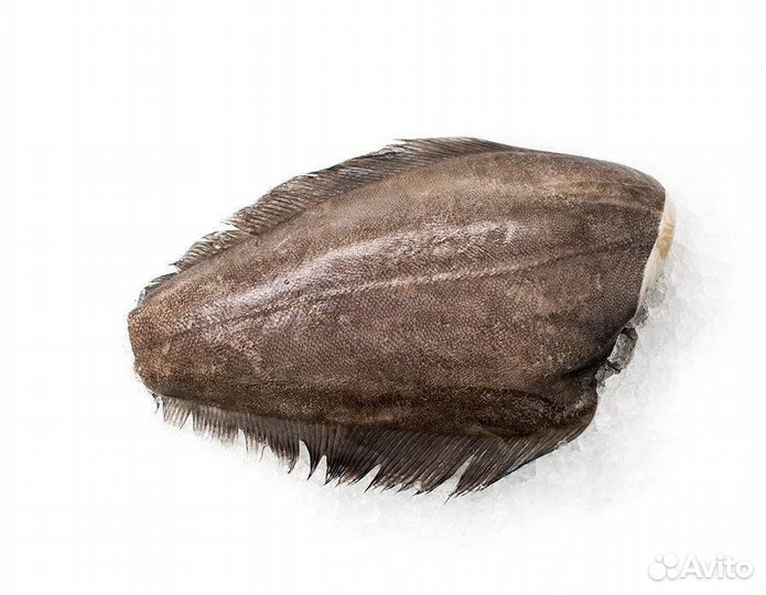 Палтус свежемороженый 0,5-1