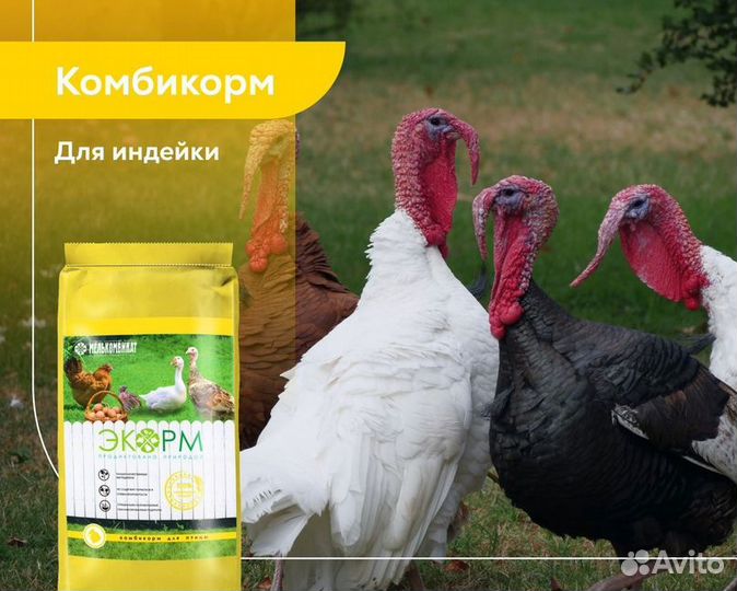 Комбикорм Экорм для кур несушек бройлеров