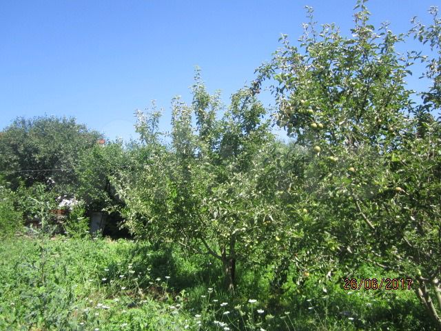 Участок 6 сот. (ИЖС)