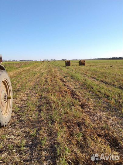 Сено в рулонах 2023