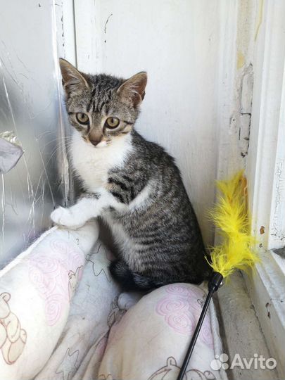 Девочка без имени