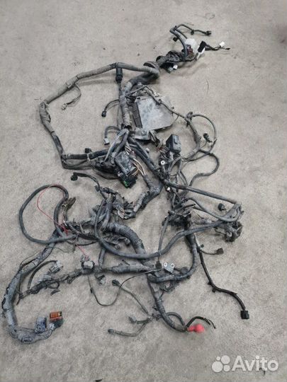 Проводка двс Nissan Tiida хэтчбек HR16 2007