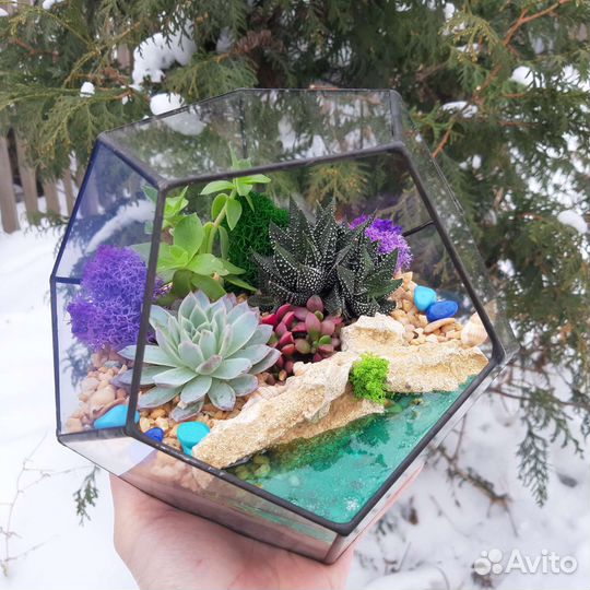 Флорариум. подарки. цветы. суккуленты