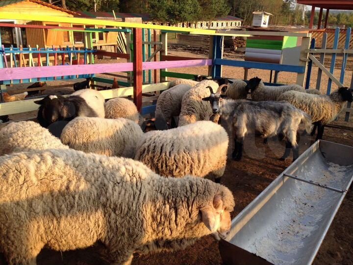 Участок 1,85 га (ИЖС)