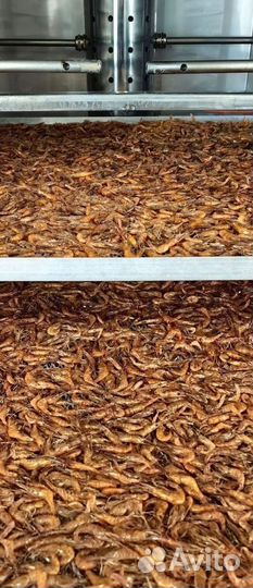 Креветка сочная, сладкая