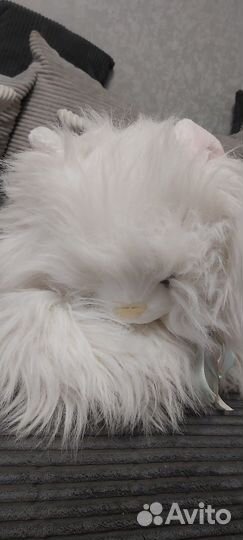 Мягкие игрушки Кот и Пёс