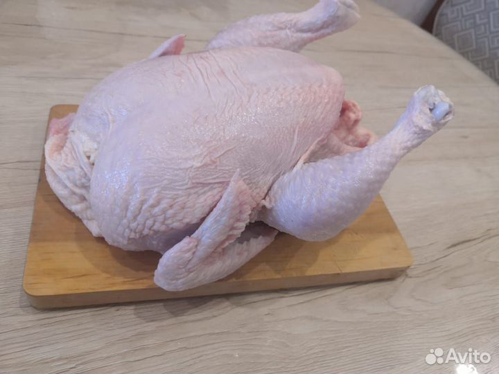 Курица (домашний бройлер)