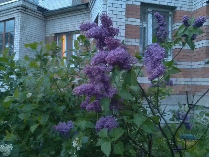 2-к. квартира, 58 м², 1/6 эт.