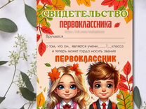 Свидетельство первоклассника