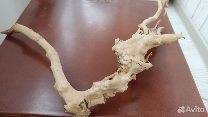 Остатки для аквариума Barbus, Tetra