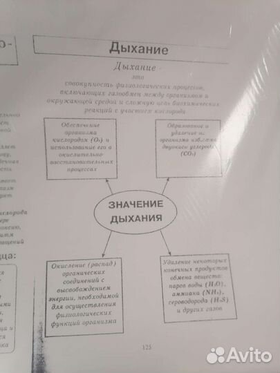 Конспекты егэ по биологии