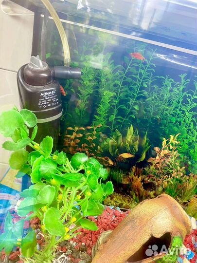 Аквариум