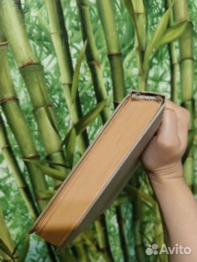 Стругацкие. Обитаемый остров. Стажёры