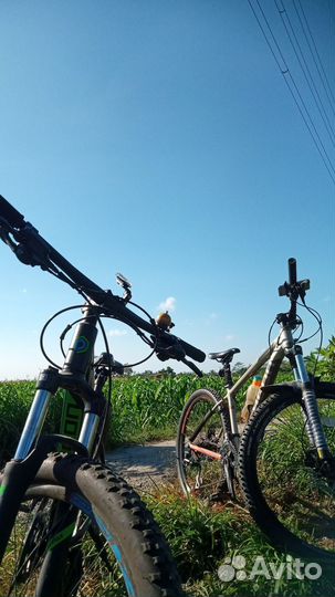 Прокат велосипедов