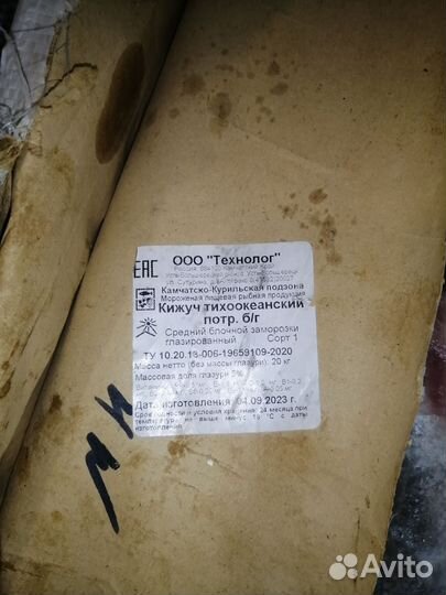 Кижуч дикий