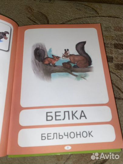 Тетрадь для дошкольника