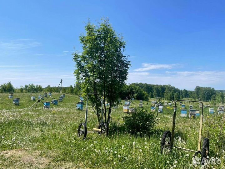 Подарочный набор