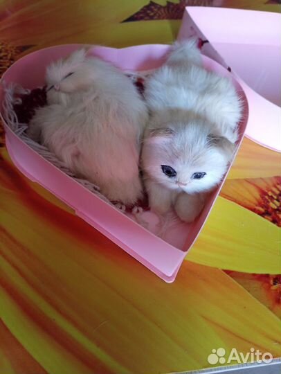 Сувенир оберег котики украшение интерьера