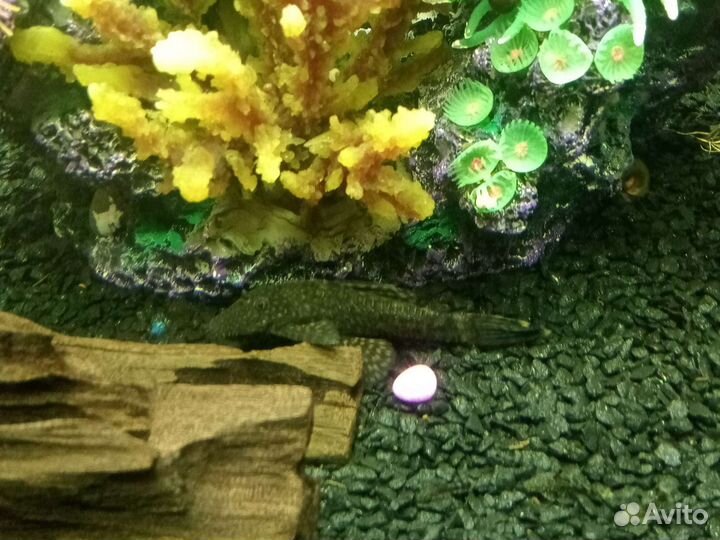 Украшение для аквариума