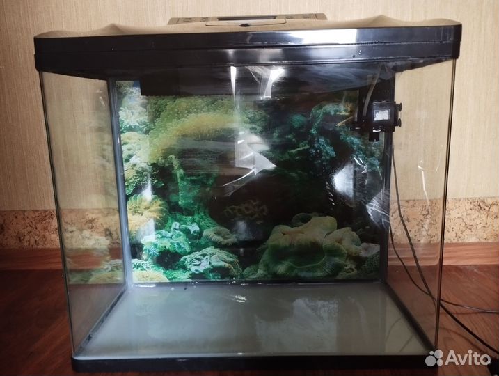 Аквариум