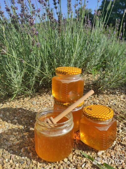 Мед лавандовый